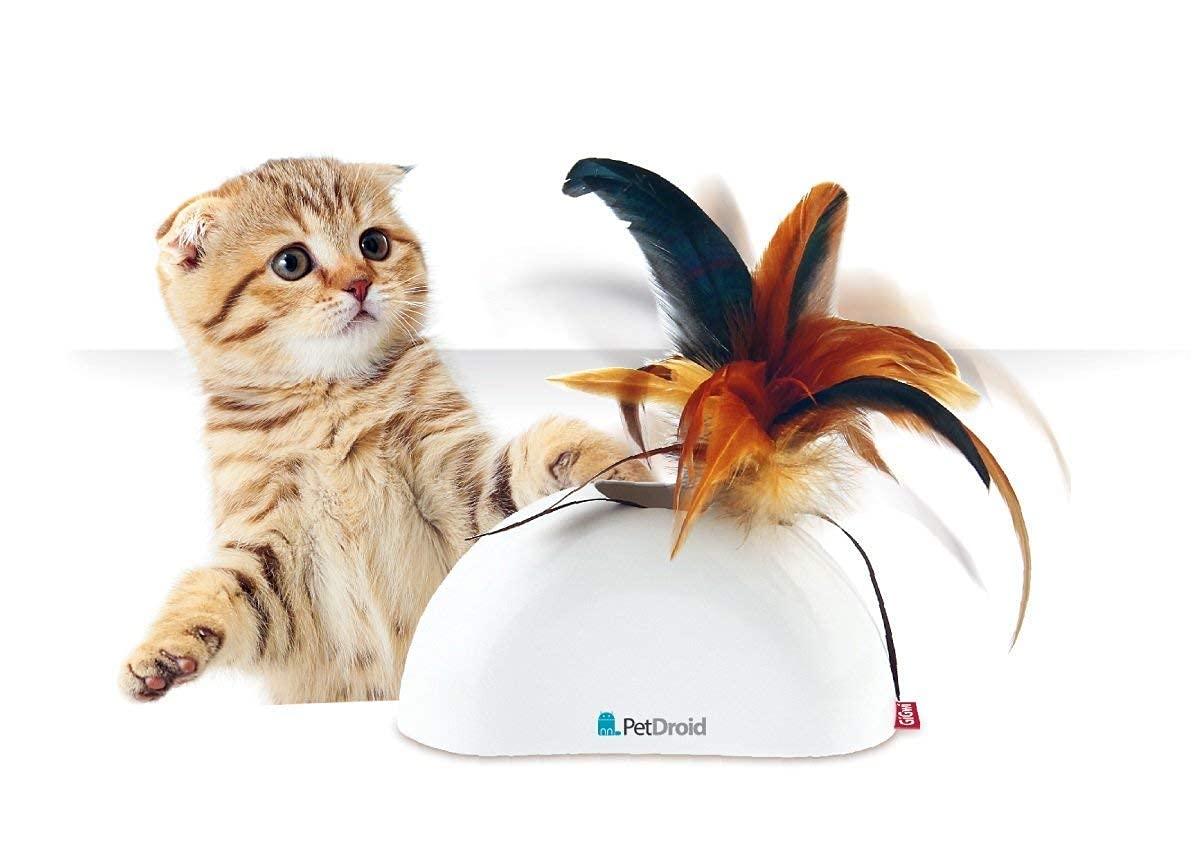PSK PET MART Interactive Cat Natural Feather Hider Sound Module Motion Sensor Activated Stalk and Catch Entice Hunting Instincts Cat Toy (B09KS143PK) Amazon Price History, Amazon Price Tracker