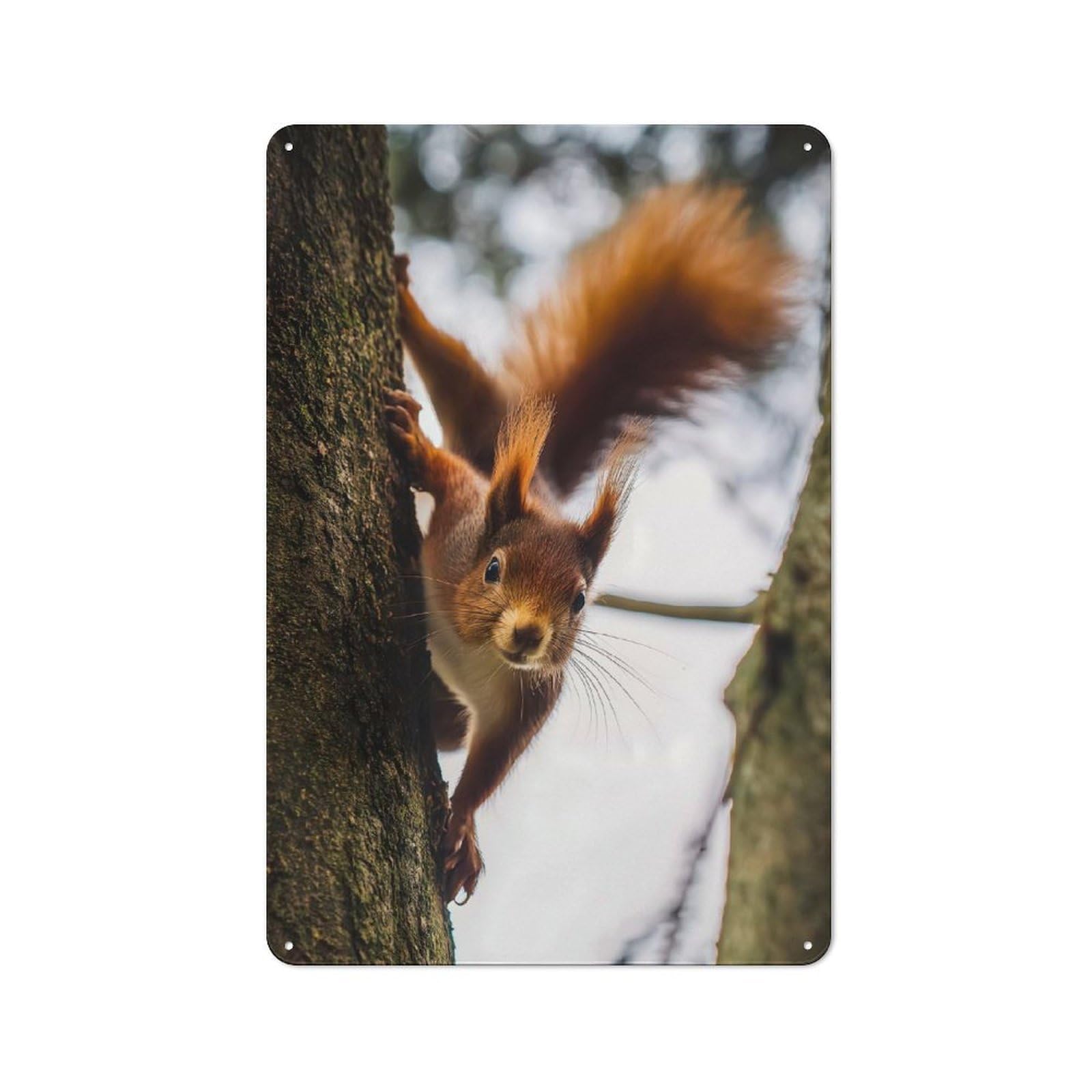 Junmoney Style-22 Squirrel Climbing A Tree Decorative Metal Plaque, Small Wall Accent For Workshop, Shed And Game Room, 30X20cm