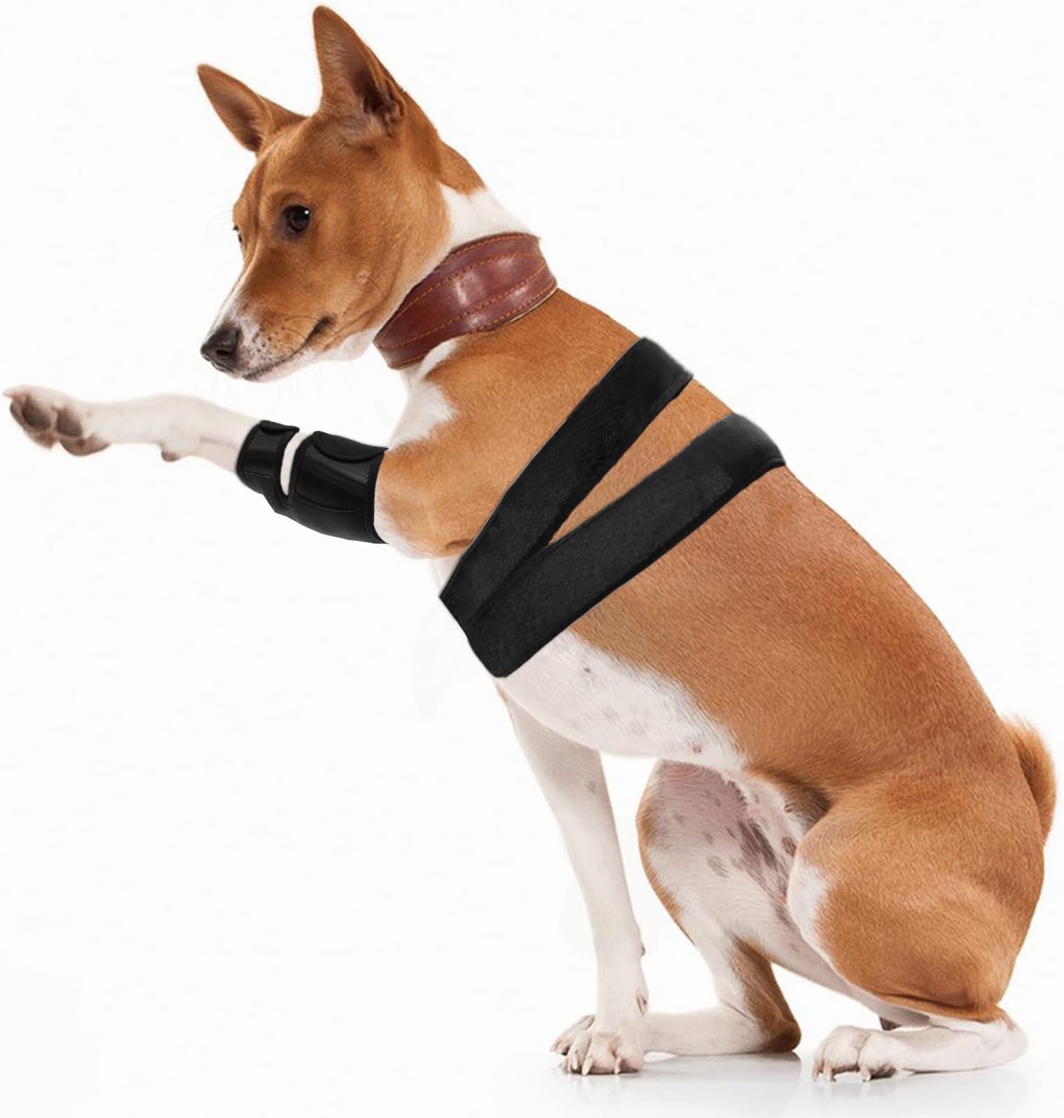 Dog ACL Knee Brace & Hip Support - Therapeutic Joint Pain Relief For Dogs With Luxating Patella