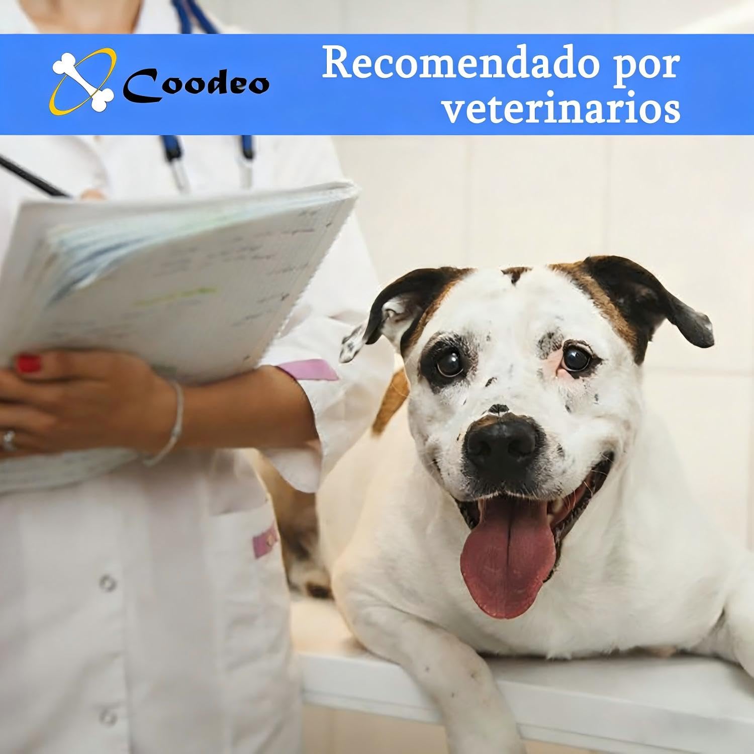 COODEO Arnés de Elevación para Perros, Faja de Apoyo Total y Rehabilitación, Chaleco Ajustable con Correas Respirables para Perros Mayores, Discapacitados o con Parálisis (Negro, L)