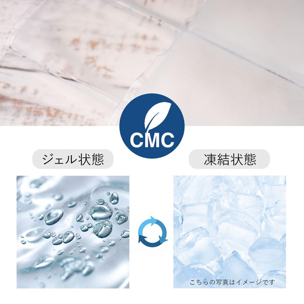 Amazon.co.jp: 背負う保冷剤リュック アイスクールリュック 背中用 