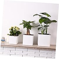 Vista 6 de GANAZONO 4 unidades, 1 juego de macetas de riego automático, maceta hidropónica para plantas suculentas, macetas para plantas de interior, macetas