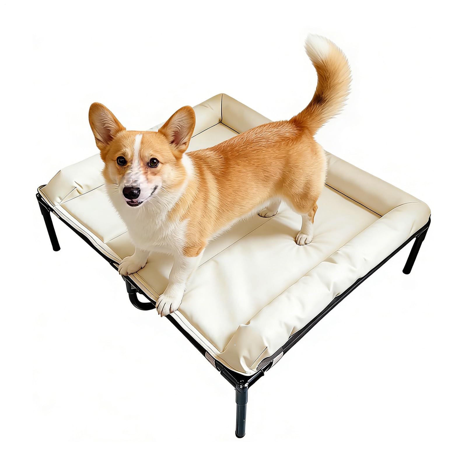 Lit surélevé pour chien avec rembourrage amovible confort