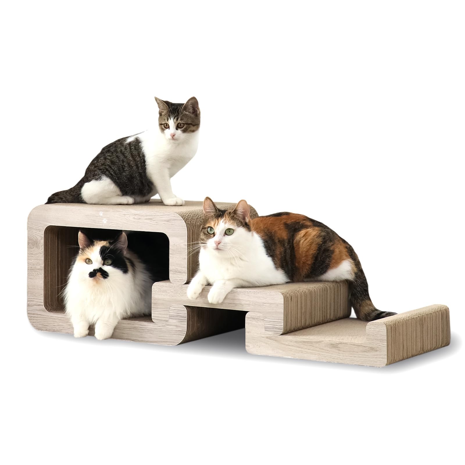Amazon.co.jp: 猫壱 バリバリステップ 爪研ぎ ステップ スロープ