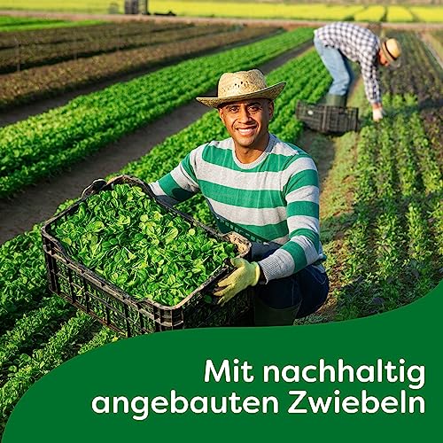 Knorr Fix Würzmischung Kebab für ein würzig und krosses Hähnchengericht ohne geschmacksverstärkende Zusatzstoffe 30 g 1 Stück
