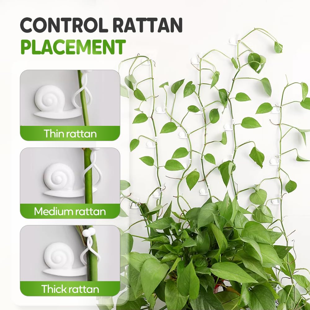 Pothos Utrwalacz roślin, klipsy ścienne wspinaczkowe, plastikowy klips do warzyw, samoprzylepny haczyk ogrodowy, winorośl, do wewnątrz, na zewnątrz, drut trakcyjny, niewidoczna dekoracja (10