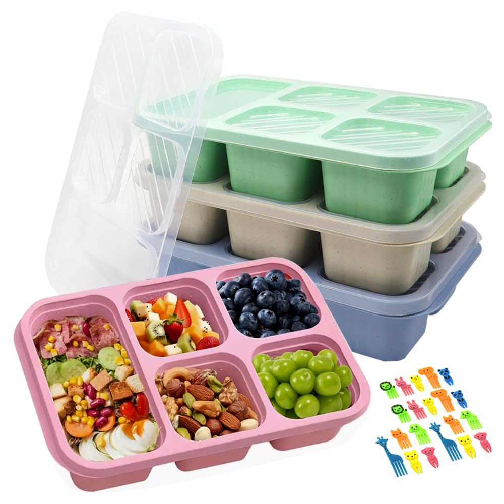 4 Piezas Snack Box Compartimentos Caja de Aperitivos Bento Lonchera Compartimentos con Tapa y 20×Tenedor de Frutas Preparación de Comidas para Escuela Trabajo Picnic