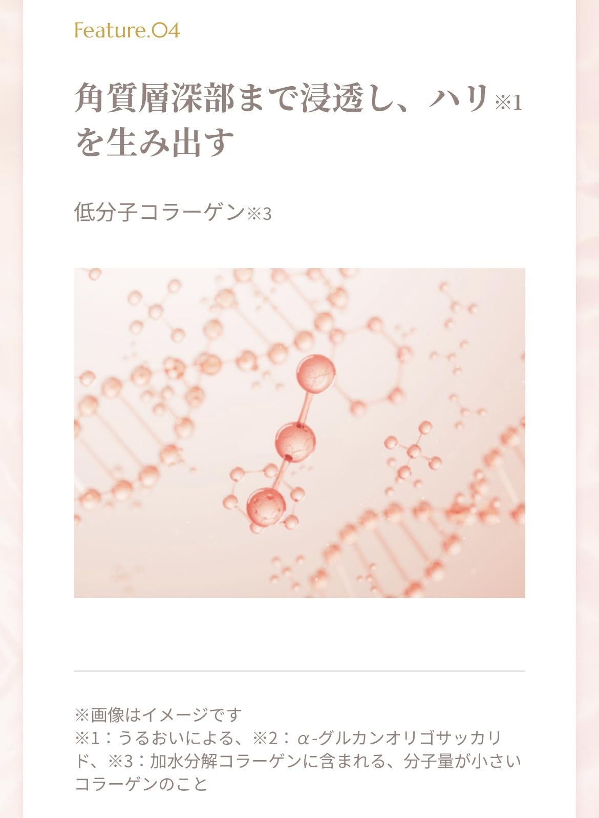 Amazon | 【まとめ買い】 Promedial プロメディアル ボディウォッシュ