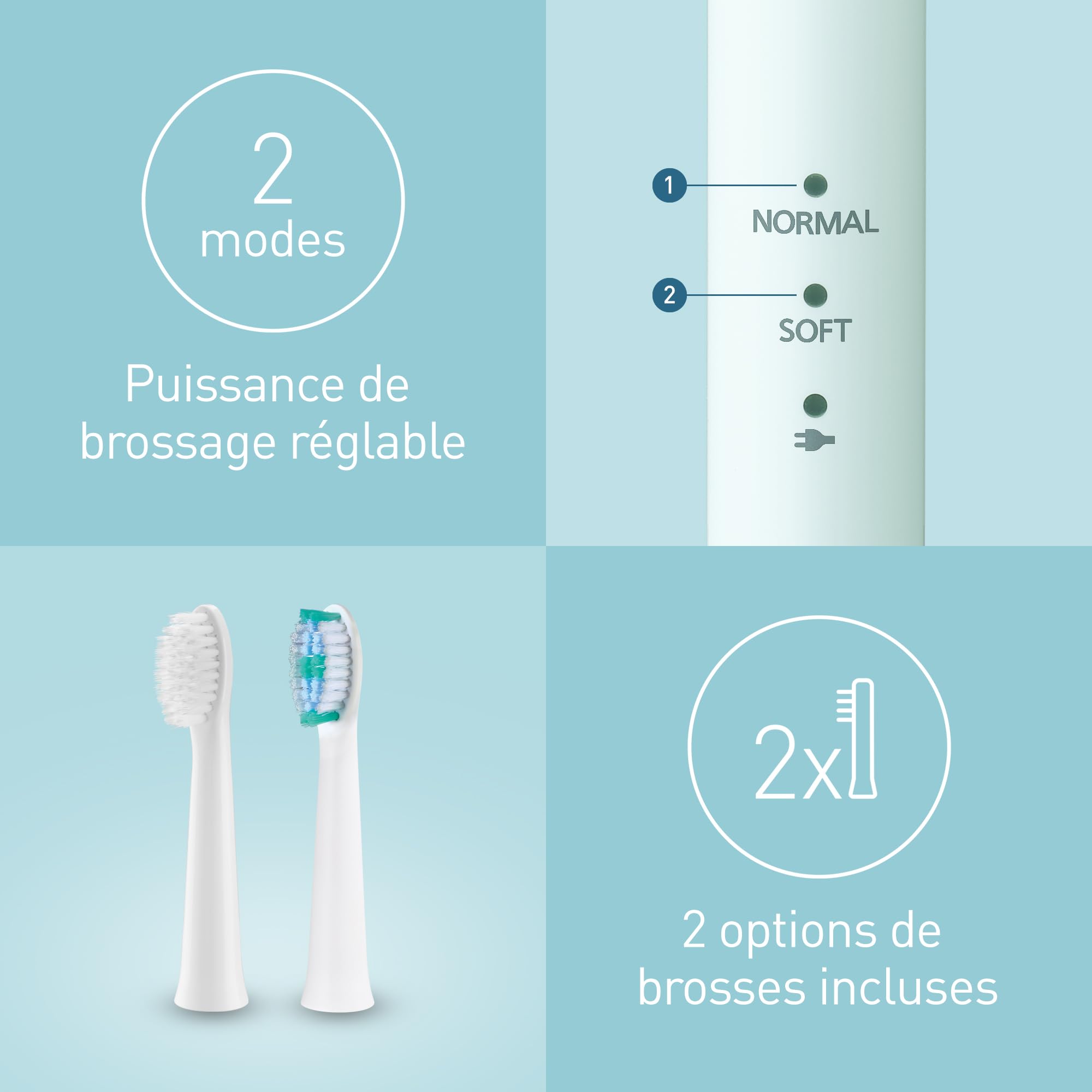 Panasonic EW-DM81-G503 Brosse à dents électrique, 2 têtes incluses, minuteur, 2 modes de fonctionnement, design ergonomique, 31 000 mouvements par minute, vibrations sonores, vert