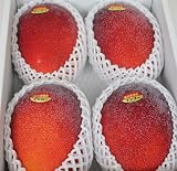 完熟アップルマンゴー 優品 2キロ( 4玉入り)沖縄県産 化粧箱入り