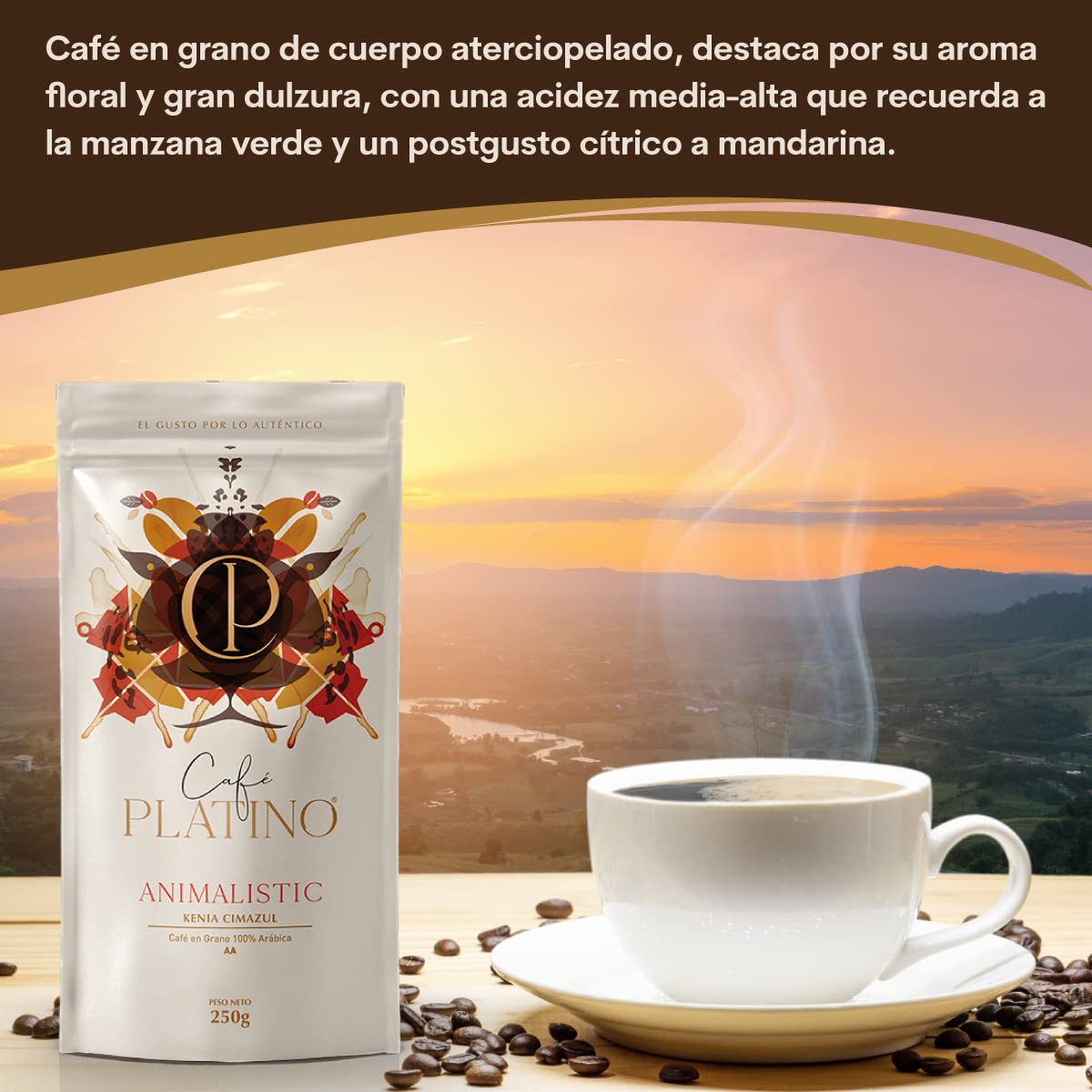 Café Platino Animalistic - Café en Grano Natural de Kenia Cimazul Tostado 250g - 100% Arábica - Categoría AA