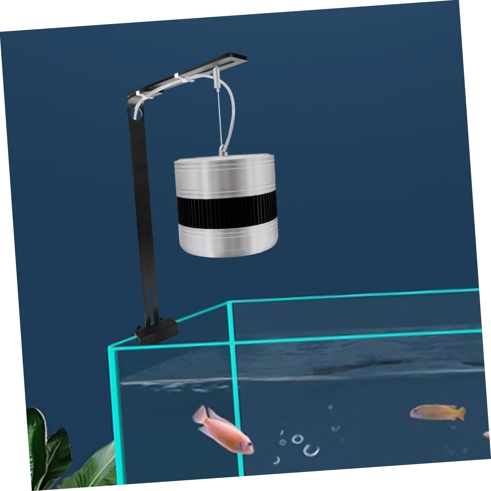 BESPORTBLE 4piezas Soporte De Luz Para Soporte Estable Para Iluminación De Peceras Instalación y Diseño Elegante Compatible Cristales