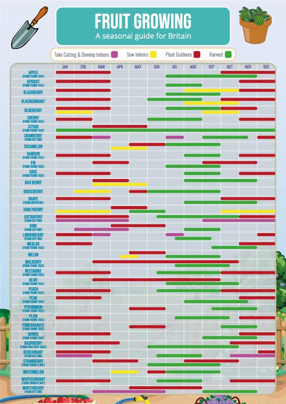 Gardening Fruit Growing Planner Poster A3 Size Laminated Calendar gardening-fruit-growing-planner-poster-a3-size-laminated-calendar