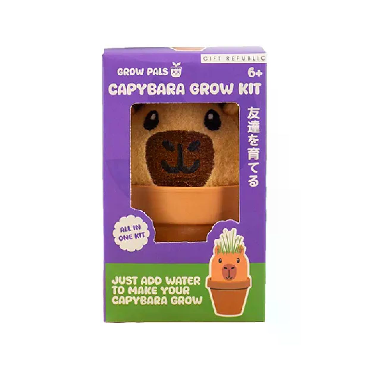 Capybara Grow Pal – Grow Your Own Grass Plant Kit, Cute Animal Planter Desk Decoration, Easy Indoor Gardening Gift for Kids & Adults