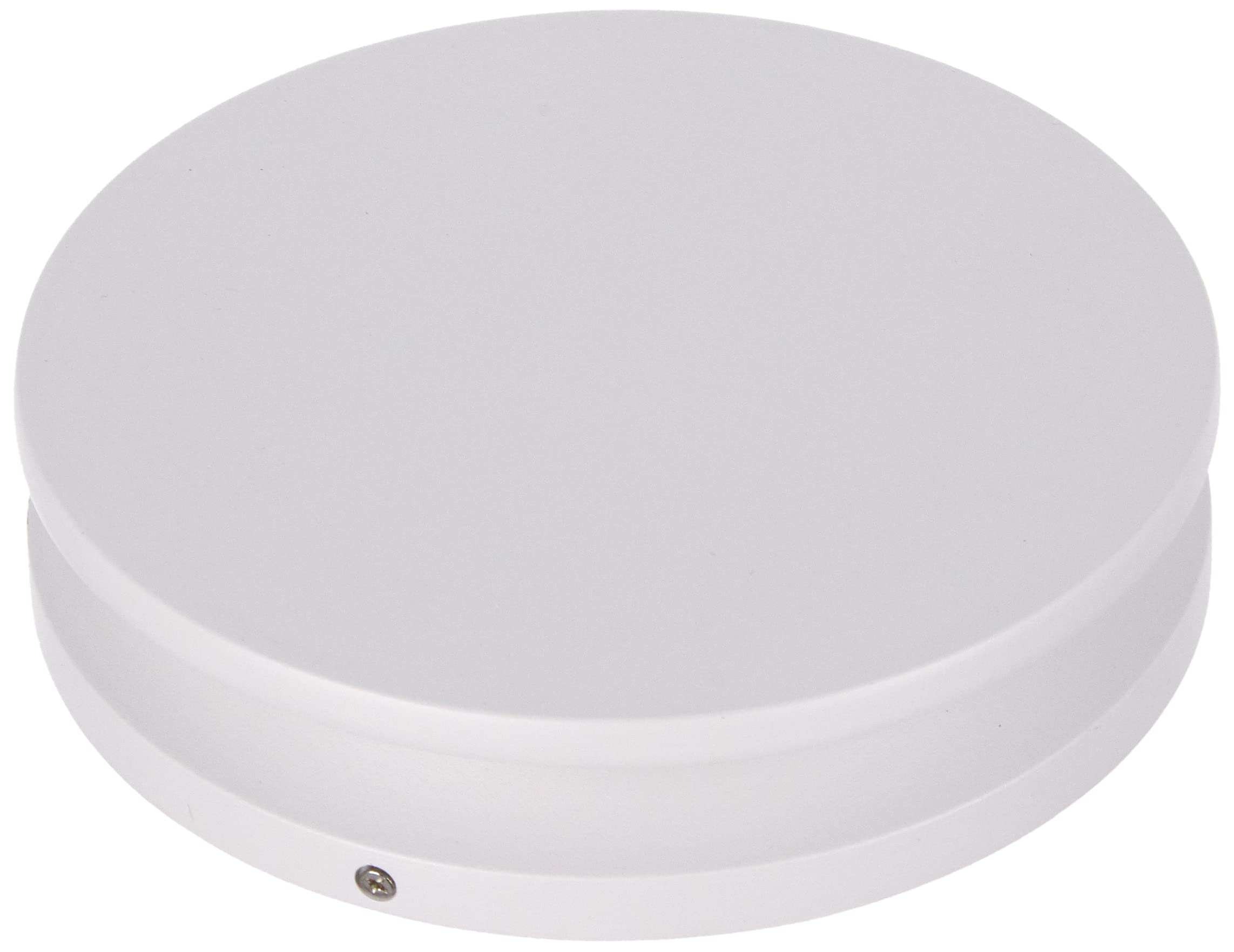 Fbright Led Dwonlight, White