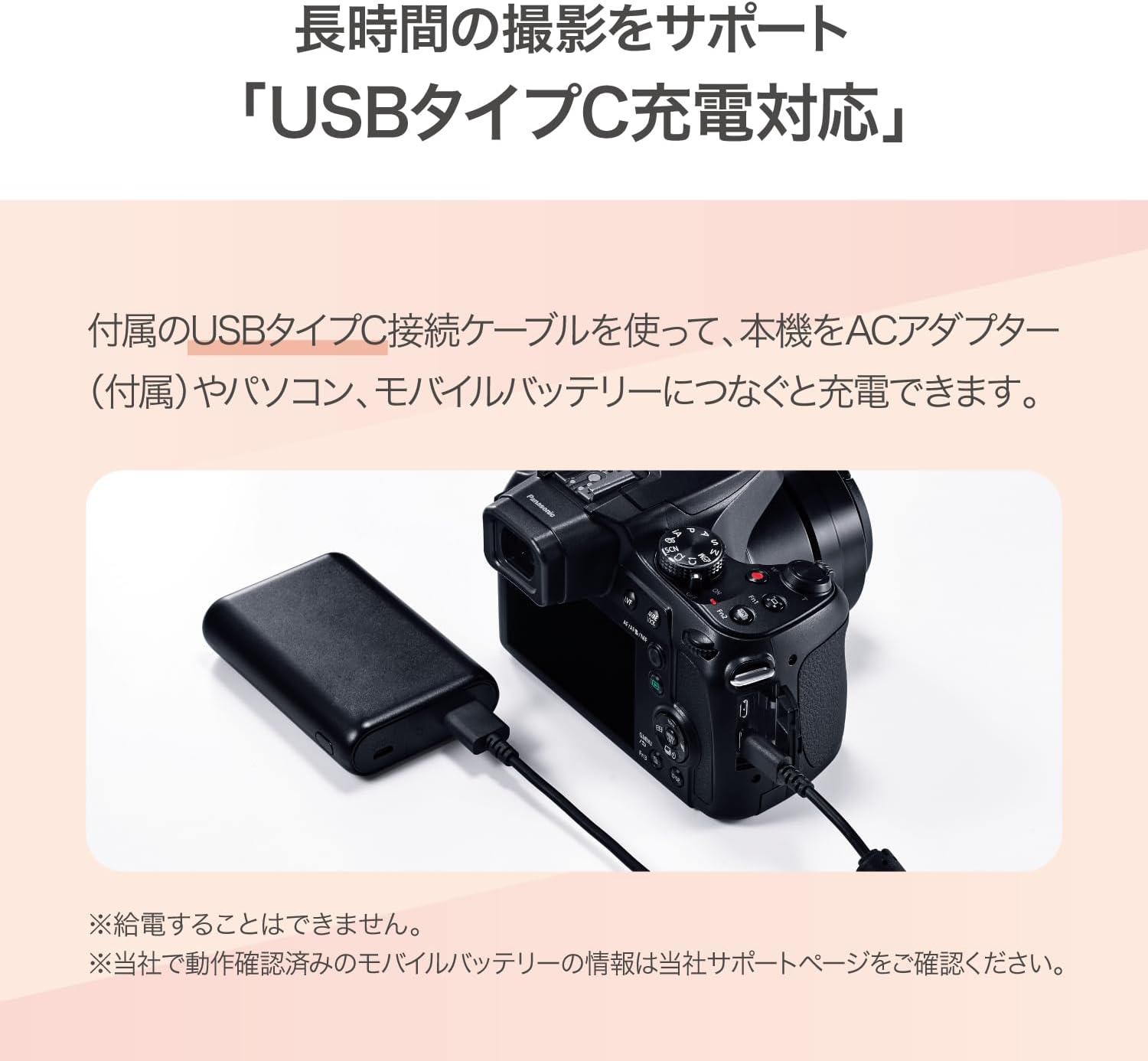Panasonic DC-FZ85D 予備バッテリー2個付き