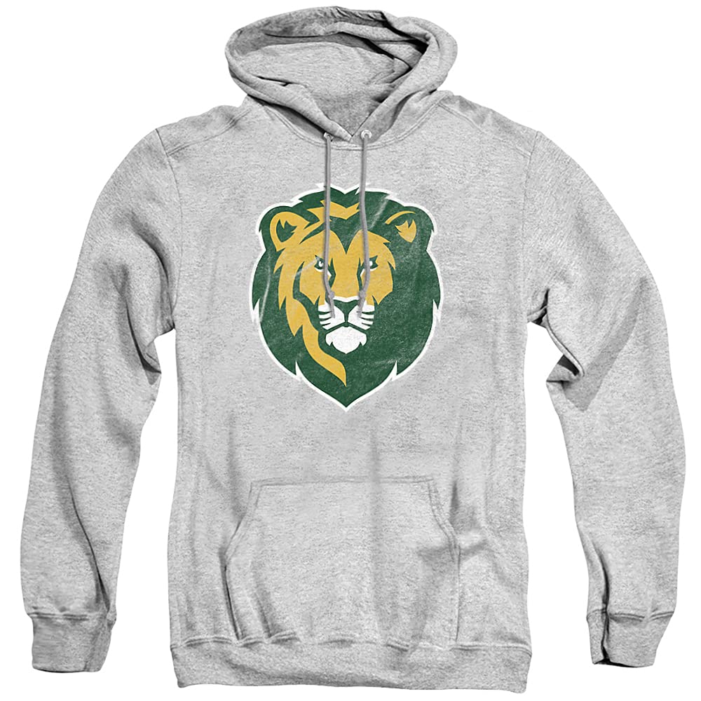 LOGOVISION Official Collegiate Distressed Primary Logo Adult Pullover Hoodie Collection — view 319