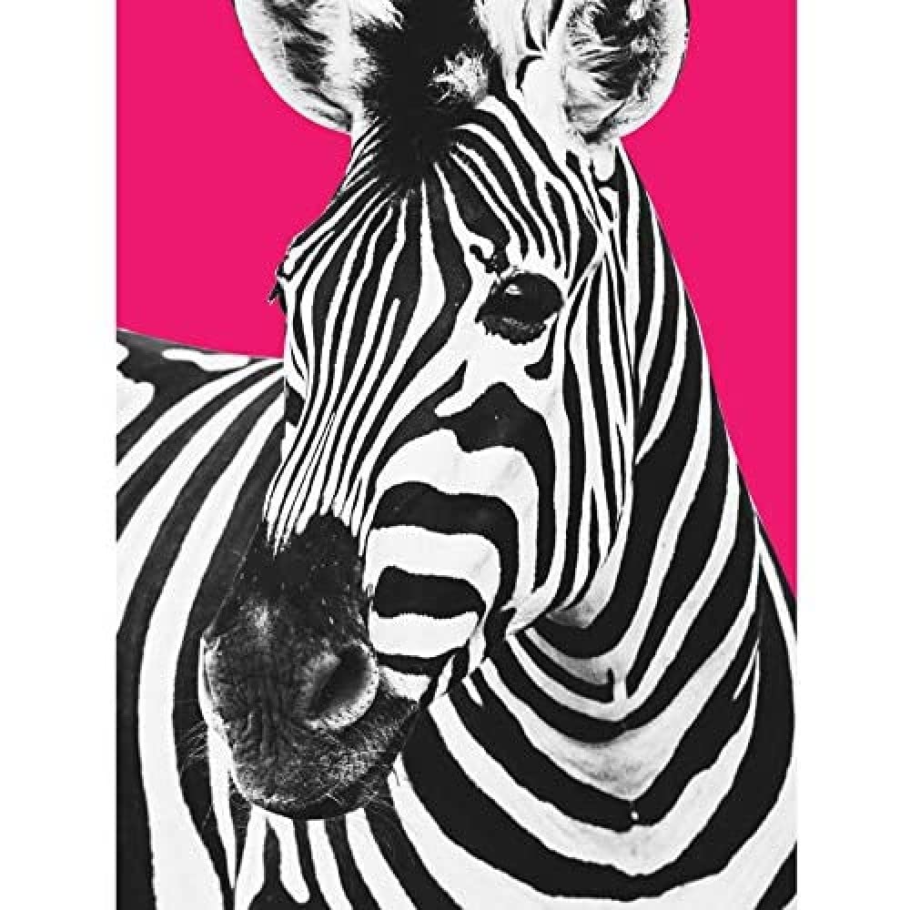 Wee Blue Coo Close up Beasties Zebra Unframed Art Print Poster Wall Decor 12x16 inch