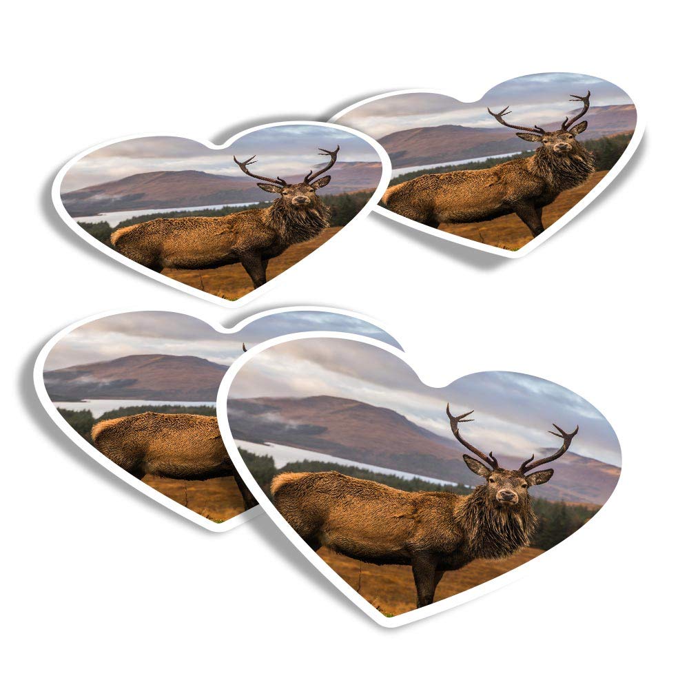 Vinyl Heart Stickers (Set of 4) - Stag Deer Scottish Highlands Fun Decals for Laptops,Tablets,Luggage,Scrap Booking,Fridges #14361