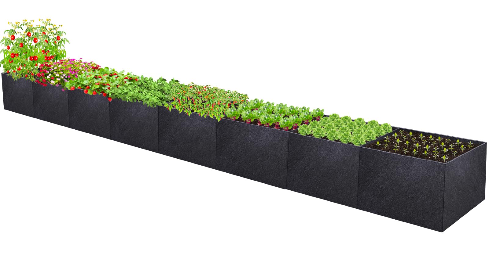 Amazon.com : POILKMNI 16x2x1ft Fabric Raised Garden Bed - Outdoor