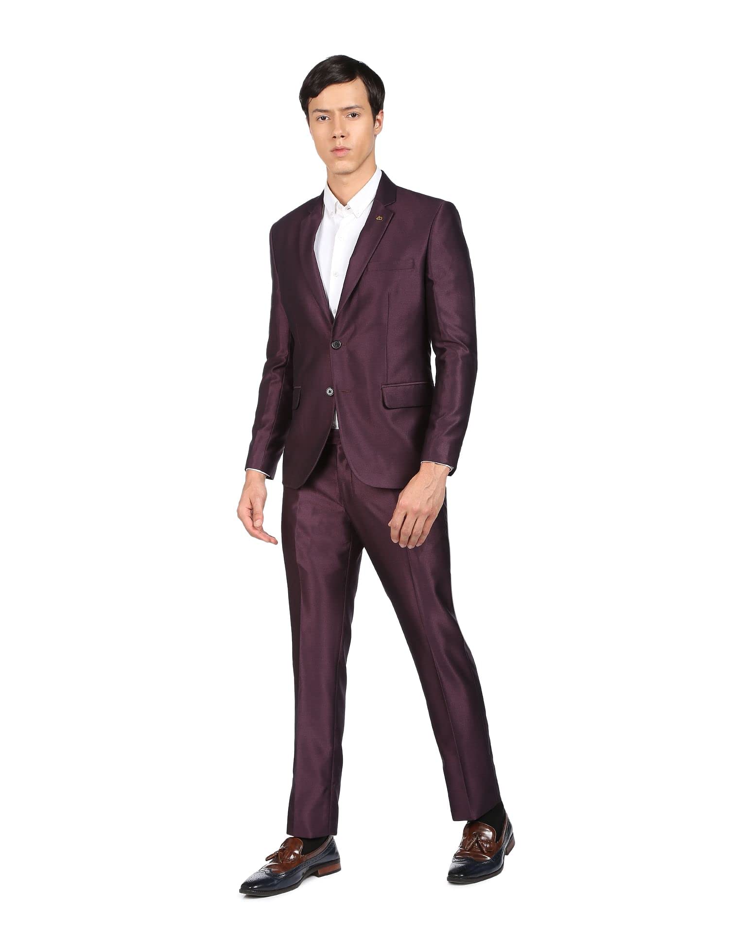 Men Wine Single Breasted Two Piece Suit-image-31