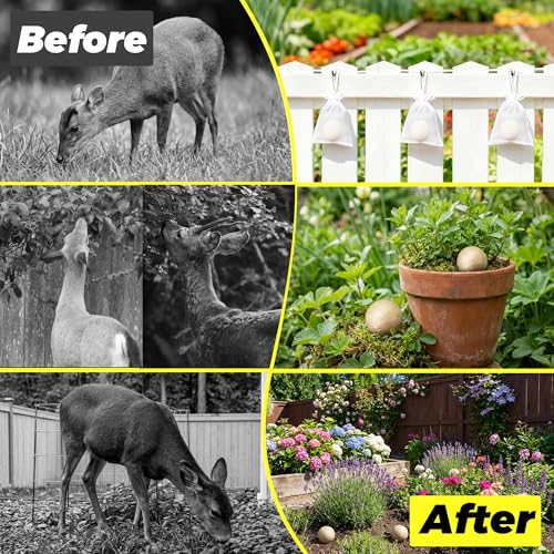 Atindirey Deer & Rabbit Repellent Balls- Outdoor Animal Deterrent for Garden, Yard, Trees & Plants | Natural, Long-Lasting | Safe for Pets, Kids, Flowers & Vegetables (18PCS)