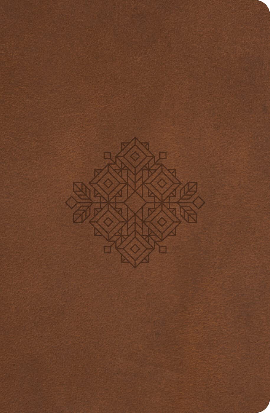Truth For Life (Gift edition): 365 Daily Devotions (Imitation Leather Gospel Gift Devotional for the Entire Year - Includes a Yearly Bible Reading ... cover design, Ribbon Marker, and Sleeve)