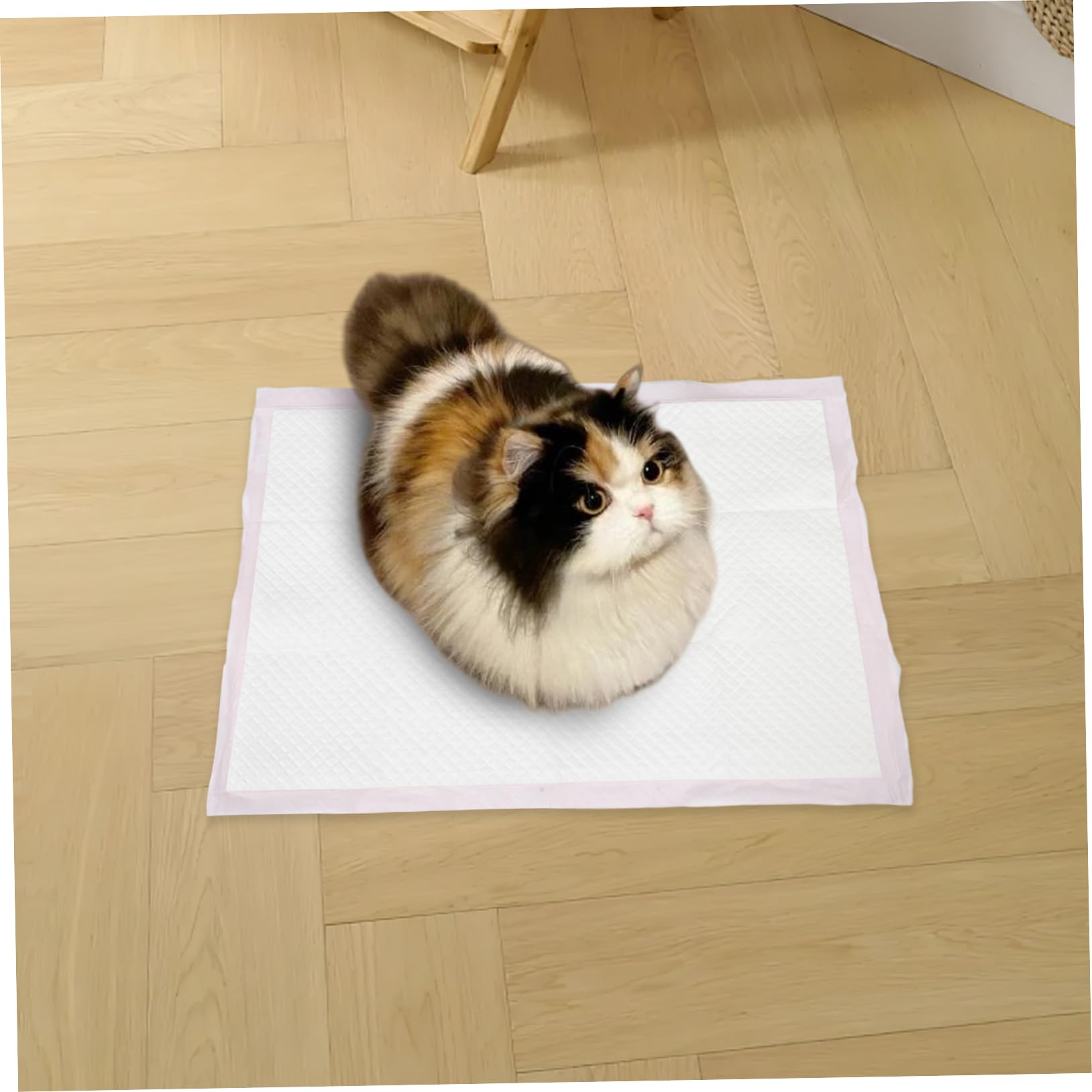 50 Almohadillas Desechables para Orinar de Diseño Engrosado, Superabsorbentes, para Entrenamiento de Perros y Gatos Hogar