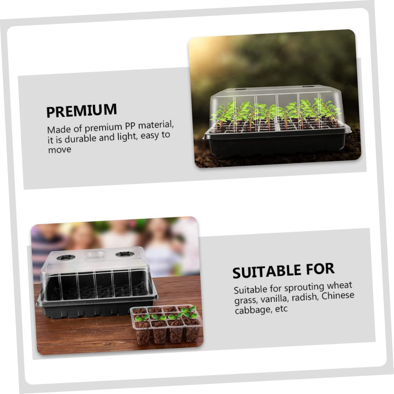 Plateau de Germination pour Plantes, Lot de 1 Set de Set, Pp, Trous