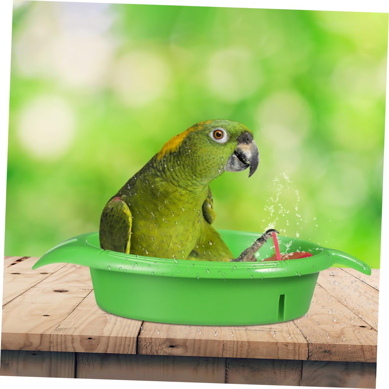 POPETPOP 4 Set Giocattolo da Bagno Pappagallo - Giochi per Pappagalli - Accessori per Pappagalli Bagno Gabbia per Uccelli Gonfiabili per Piscine Supporto da Bagno per Pappagalli 2 Pezzi * 4