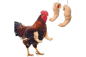 Funny Chicken Arms for Chickens to Flex on the Farm