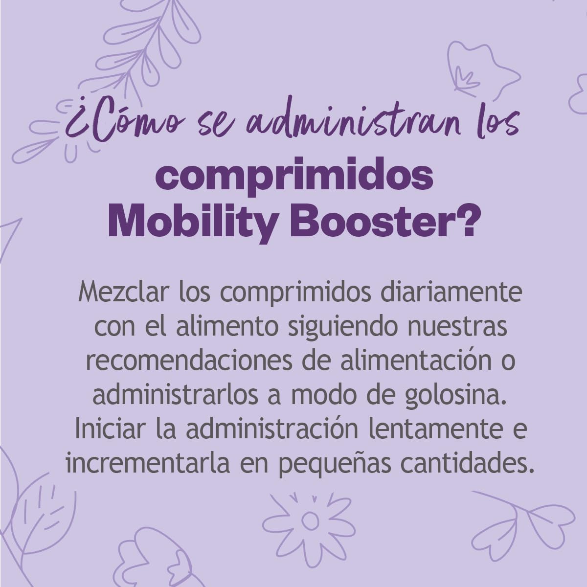 Grau - El Original - Hokamix Mobility Booster, 1 Paquete (1 x 390 Unidades)