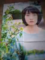 Amazon.co.jp: 能年玲奈 のん 女優 グラビア ポスター アイドル