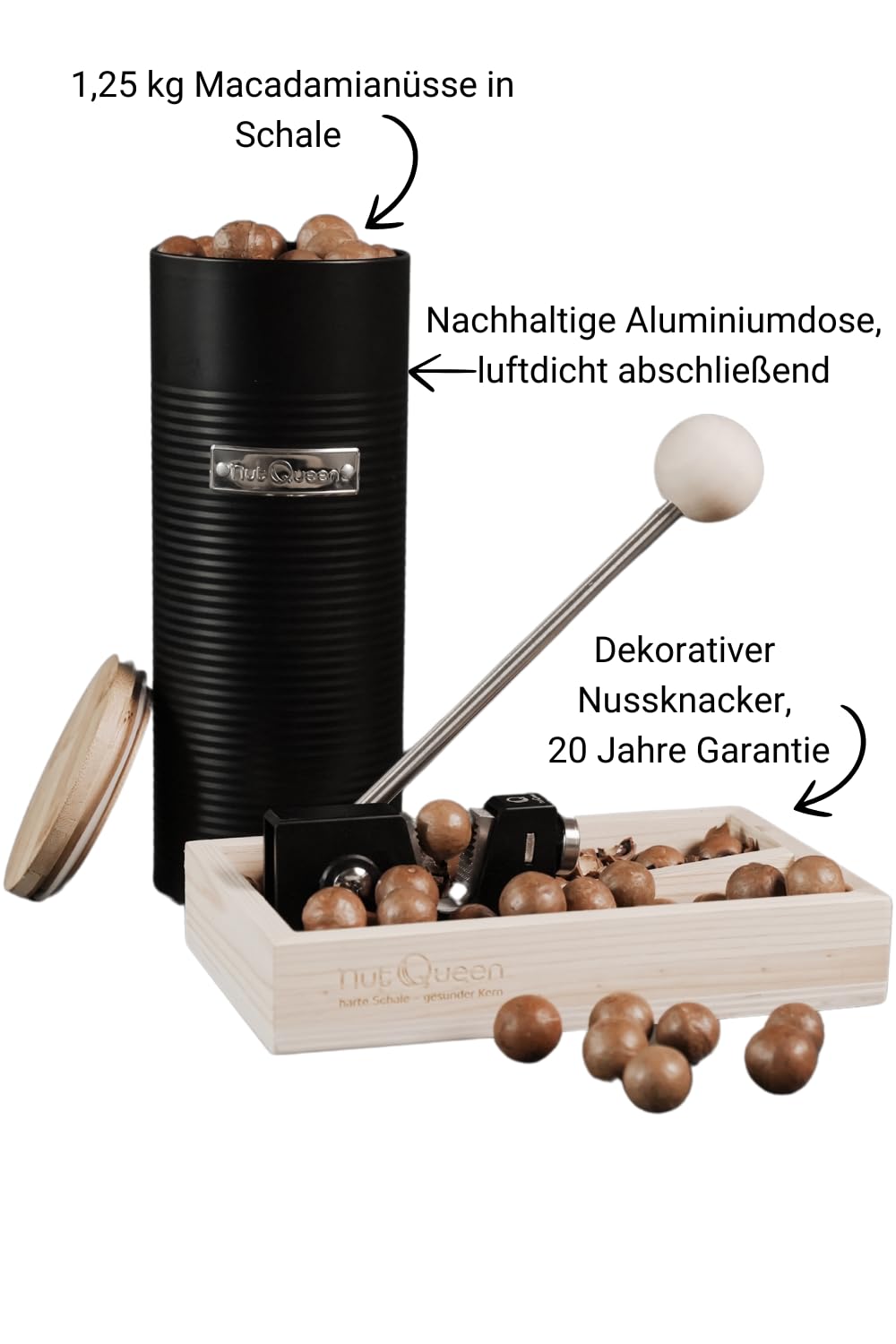 Macadamianuss StarterSet inkl. Nussknacker, Dose und 1,25 kg Macadamianüsse in Schale, nachhaltig und dekorativ, frischer und einzigartiger Geschmack