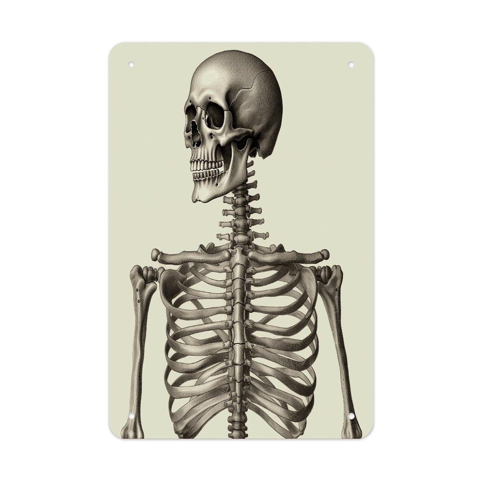 Btcowzrv Style Human Skeleton Metal Tin Sign Wall Decor Hanging Plaque