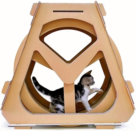 cat exercise wheel amazon