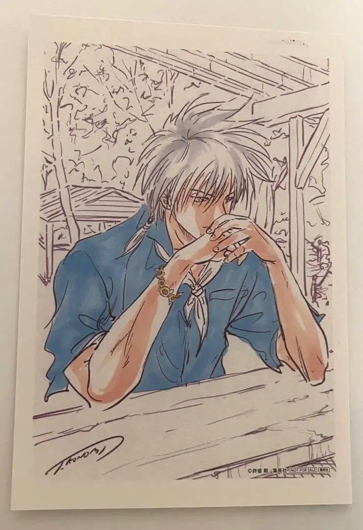 Amazon.co.jp: 仁王雅治 サマバレ 30巻 葉書 原作 : おもちゃ