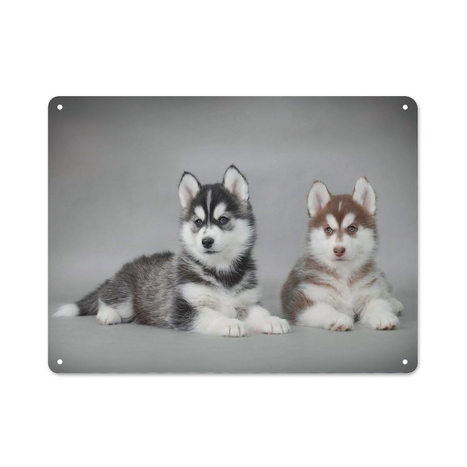 Junmoney Style-7 Siberian Husky Puppies Classic Metal Wall Decor 30X40cm, Metal Wall Plaque For Hobby Room, Office, Lounge Or Living Room