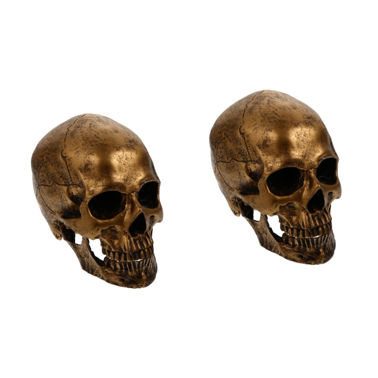 Alipis 2 Piezas Modelo de cráneo Humano decoración de cráneo Humano Figura de Esqueleto decoración Halloween decoración de Halloween Modelo Ornamento cráneo Adorno de Calavera de Resina