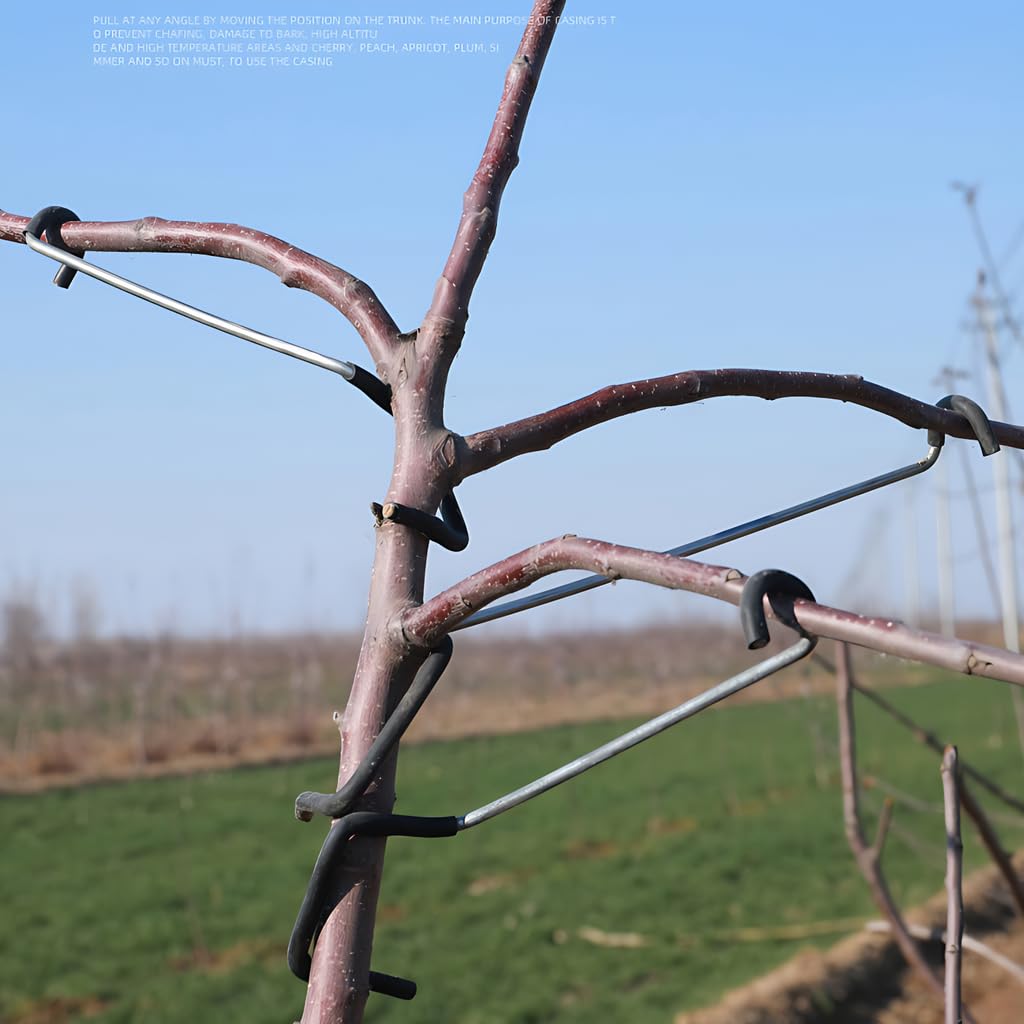 Lot de 10 écarteurs de branches d'arbre fruitier, extracteur de branches de 35,6 cm, nouvel épandeur de branches de fruits en plastique enveloppé de fil de fer qui n'endommage pas les branches