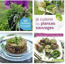 Download Je cuisine les plantes sauvages PDF
