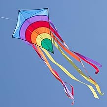 CIM Rainbow Eddy Children's Kite Single Line Flight Kite for Children from 3 Years 65 x 72 cm Includes 80 m Kite Cord and 8 x 105 cm Strip Tails