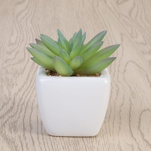 Miniatura 5 de DECHOUS Plantas artificiales falsas suculentas bonsái falsas maceta para decoración del jardín del hogar