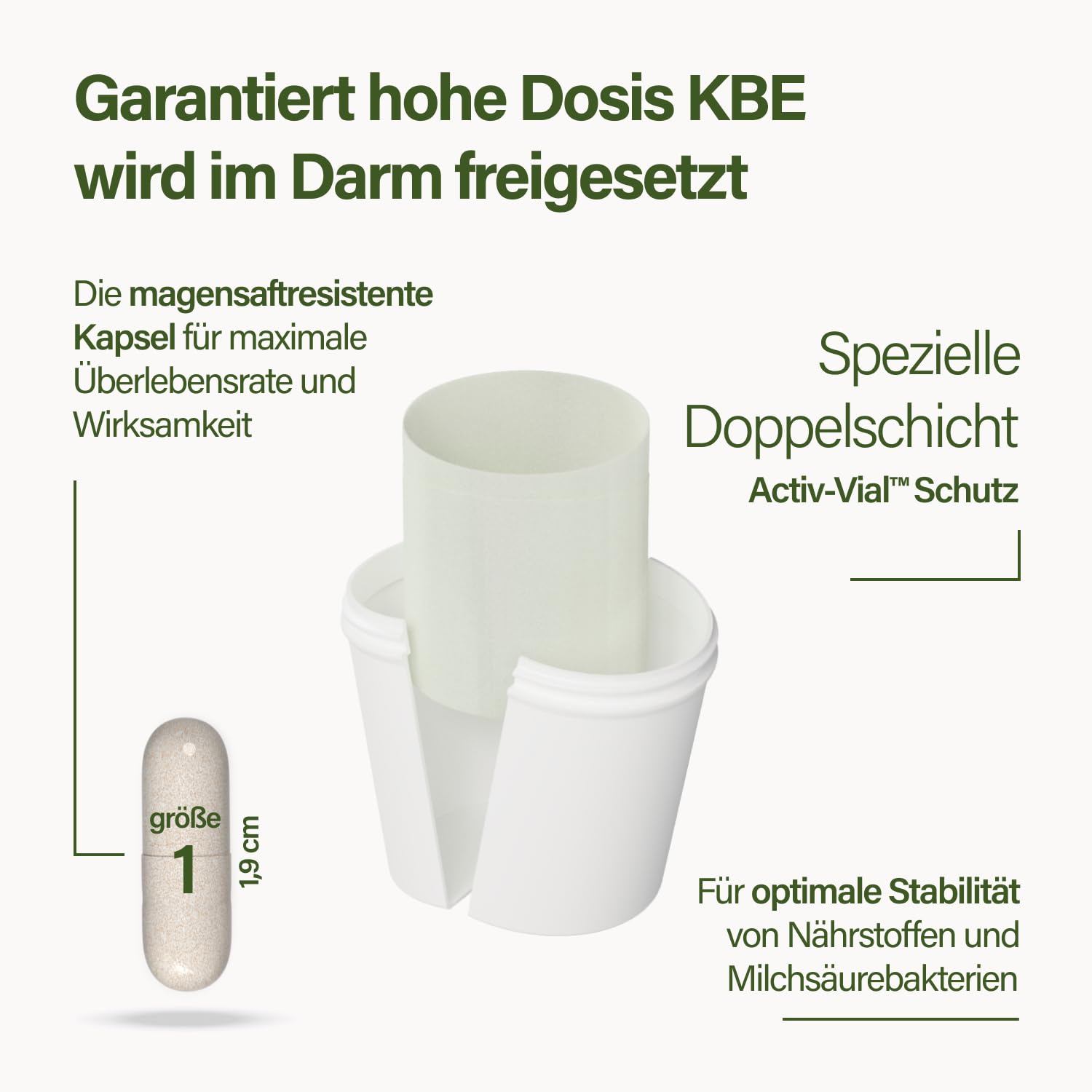 Nupure® Probaflor Plus 400 Milliarden KBE/g*, 60 Kapseln, Hochdosiert, 20 Stämme Milchsäurebakterien und Bifidobakterien, Plus Inulin, Magensaftresistente Kapselhülle