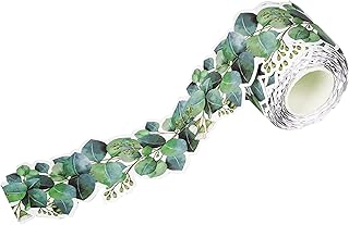 Eucalyptus Green Border Bulletin Board, Bulletin Board Trim Tropical Leaves Bulletin Board Decorations for Back-to-School Classroom Home