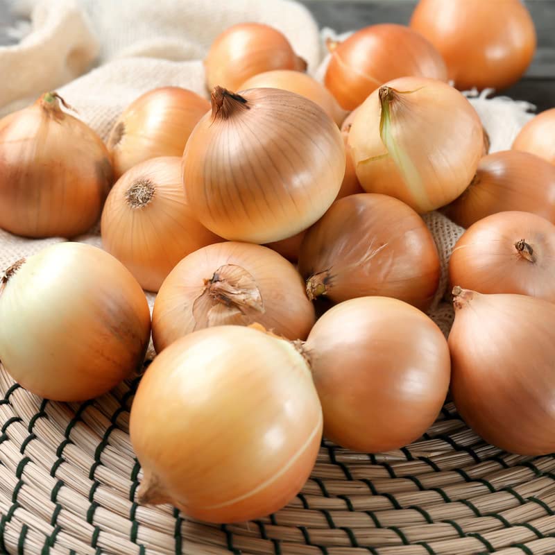 Vista 2 de Onion-Texas Early Grano 502 (250 semillas)