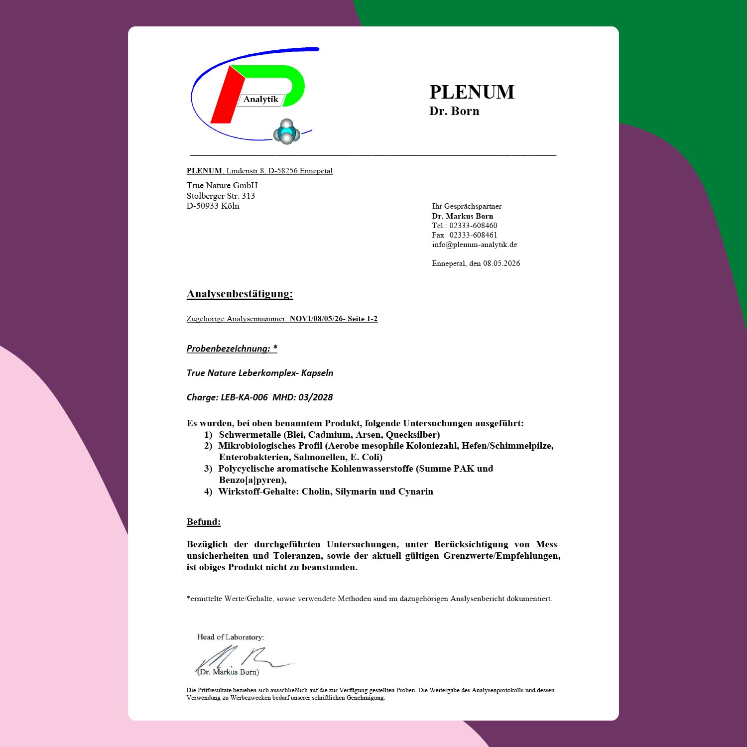 Mariendistel Leber Komplex - Testsieger-Online 11/25 - 180 Kapseln - 480mg Silymarin - Mariendistel, Artischocke, Löwenzahn, Cholin trägt zur Erhaltung einer normalen Leberfunktion bei - TRUE NATURE