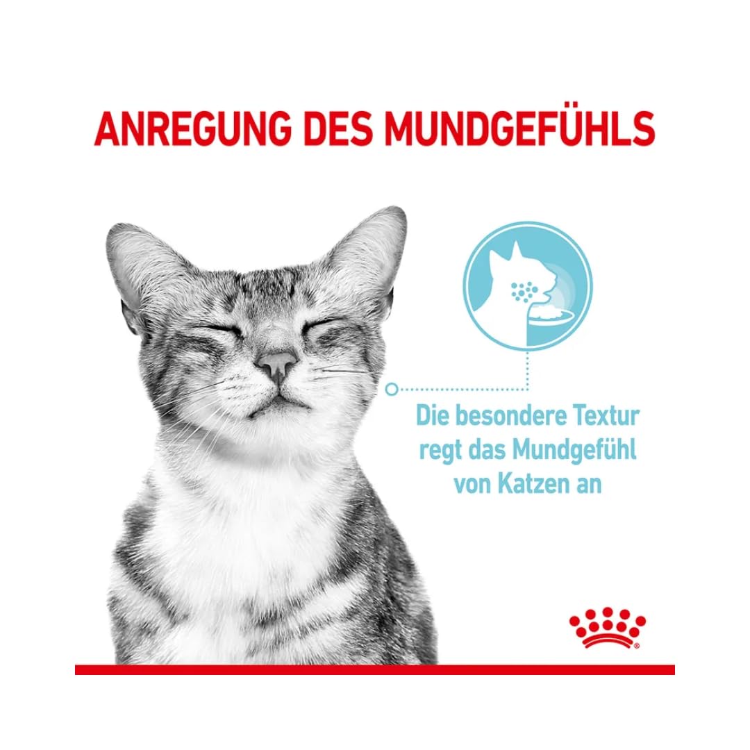 Royal Canin Sensory Multipack | Pack de 4 | 4 x 12 x 85 g | Alimento Completo para Gatos Adultos | Olor, Sabor, Sensación