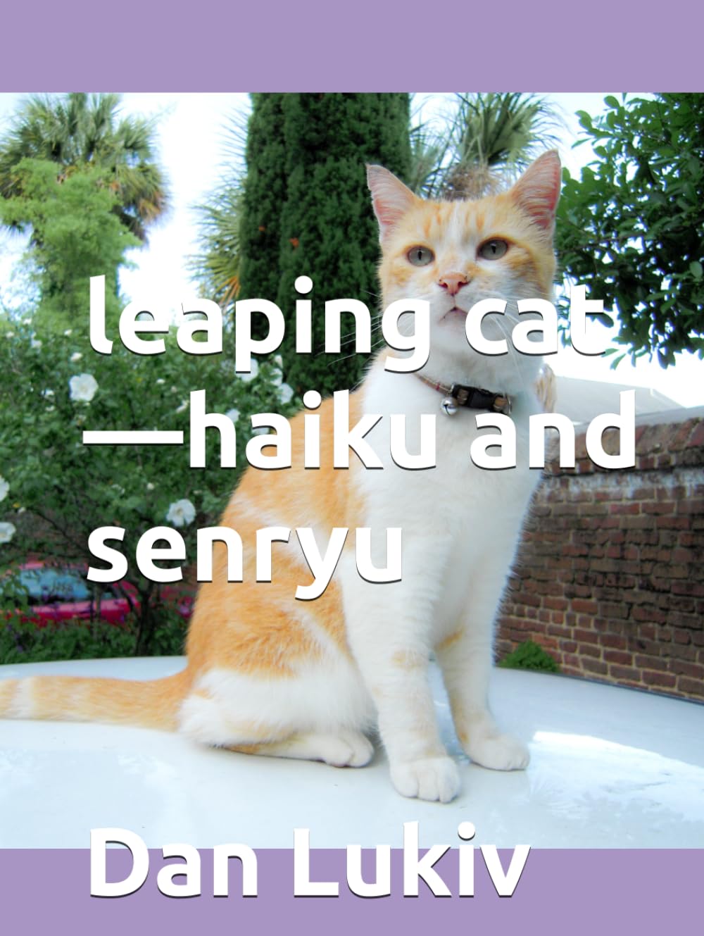 leaping cat—haiku and senryu