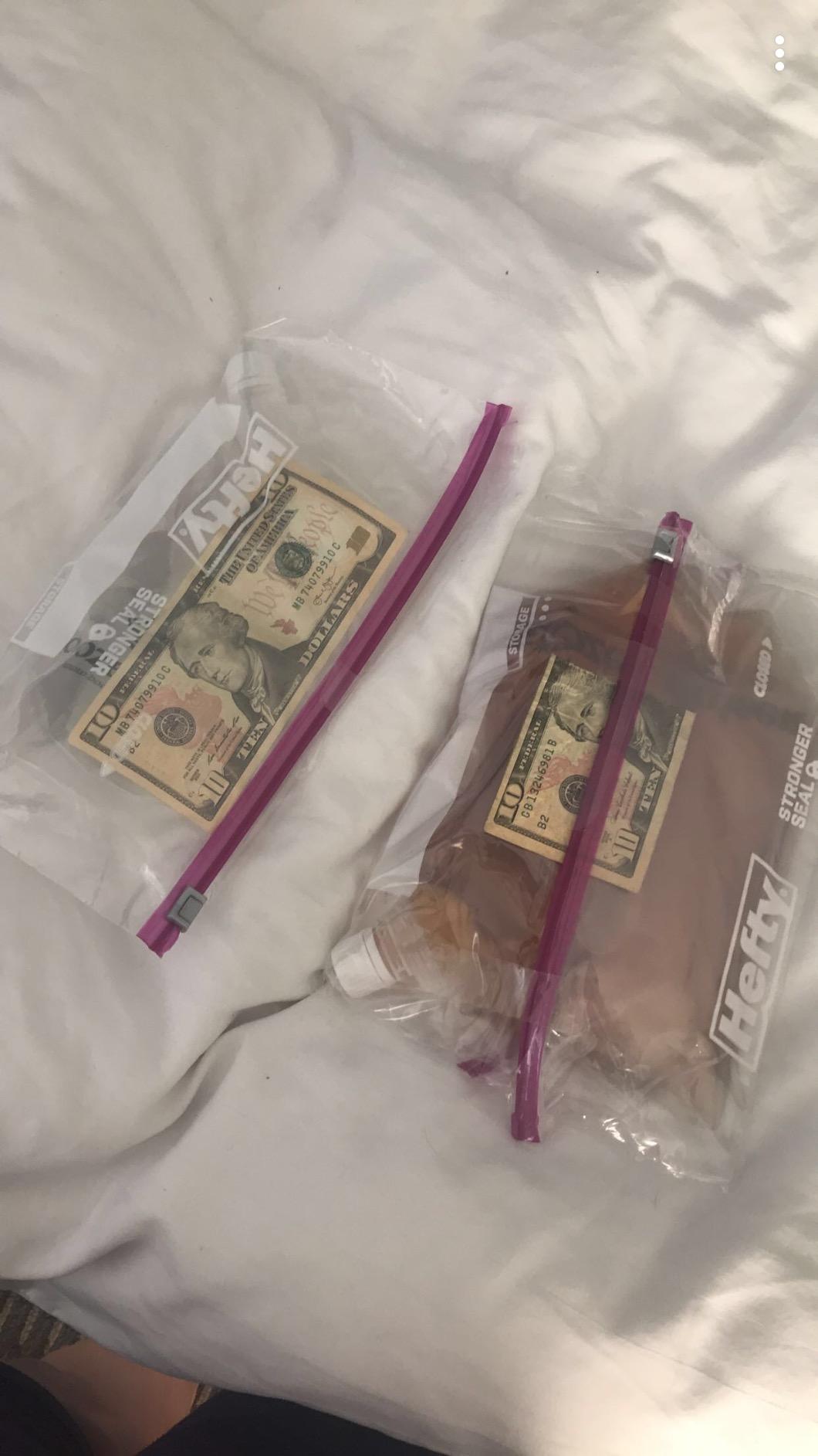 Booze Cruiser Cruise and Travel Flasks Great for Sneaking